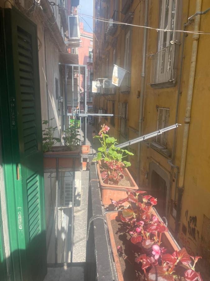 Le Suite Di Ginevra 那不勒斯 外观 照片